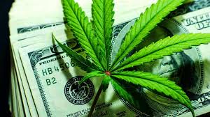 Cannabis