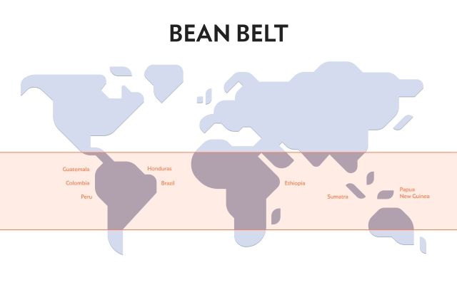 beanbelt of the world