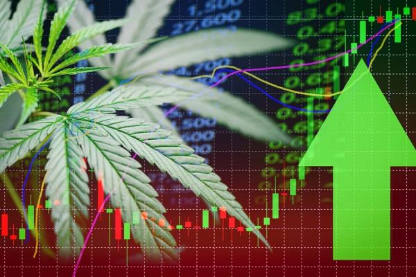 cannabis-stock