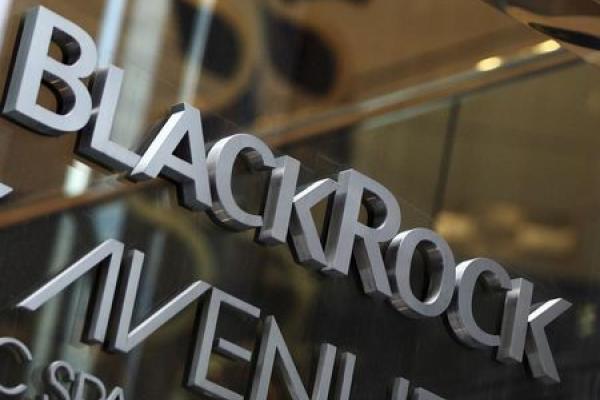 BlackRock Stock Rises 4%