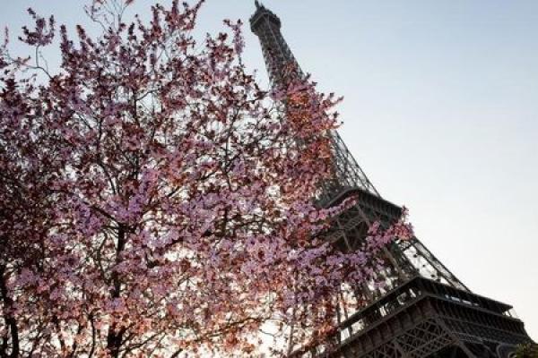 L'économie française se porte mieux que celle de l'Allemagne, mais est-ce durable?