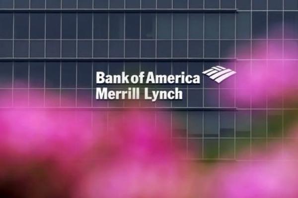 Bank of America Falls 3%