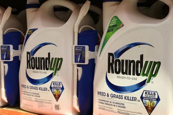 Stockbeat: The Elliott Fox Is in the Bayer Henhouse