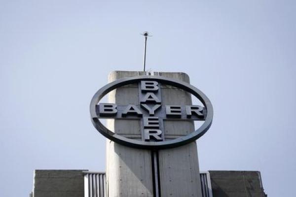 Bayer: Da muss noch mehr kommen