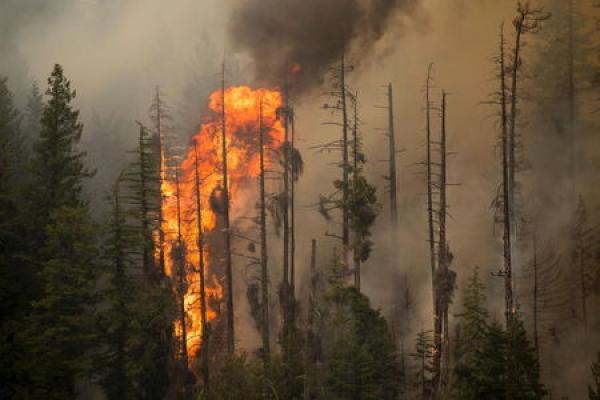 NewsBreak: PG&amp;E geht Milliardenvergleich ein - Aktie steigt 7%