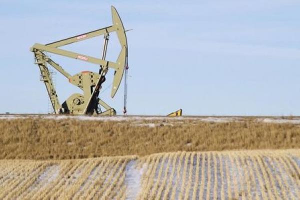Futuros do petróleo bruto em alta durante a sessão dos Estados Unidos