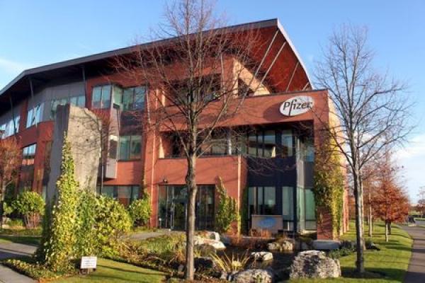 Pfizer Earnings, Revenue Beat in Q1
