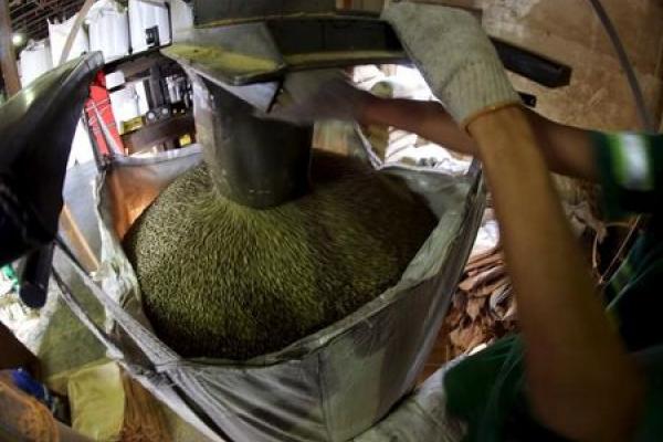 Vietnam-Exporte und starker Real helfen dem Kaffeepreis nicht