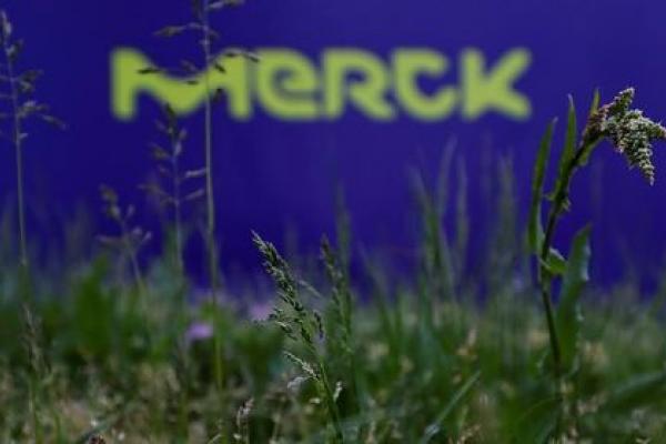 Merck&Co Earnings Beat, Revenue Misses In Q4