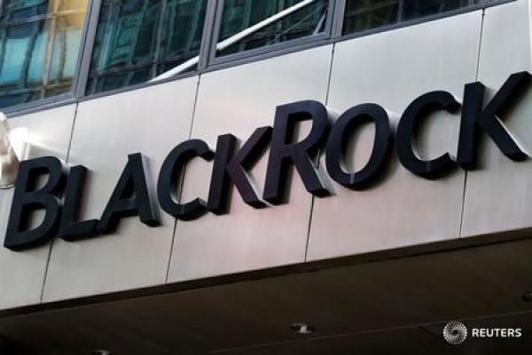 BlackRock Stock Falls 3%