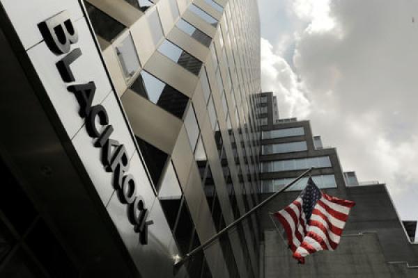 BlackRock Stock Falls 7%