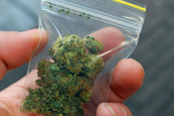 Le Mexique pourrait légaliser le Cannabis à la fin du mois, comment en profiter?