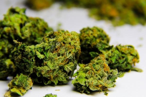 Nach Aphria-Quartalszahlen: Pot-Aktien auf der Überholspur