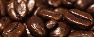 El precio del café, al alza; habrá fortaleza todo este mes