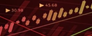 Take our educational course and learn the secrets of the financial markets!
