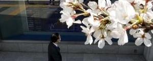 Los índices de Japón cierran a la baja; el Nikkei 225 cae un 5,38%