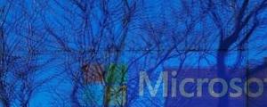 Microsoft Stock Falls 7%
