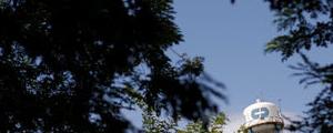 Colgate-Palmolive Earnings Beat, Revenue Misses In Q3