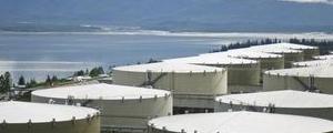 U.S. Crude Stockpiles Rose 1.2M Barrels: EIA