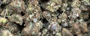 Marihuana-Deal löst sich für Aphria und Aurora Cannabis in Rauch auf