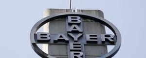 Bayer: Da muss noch mehr kommen