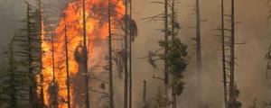 NewsBreak: PG&amp;E geht Milliardenvergleich ein - Aktie steigt 7%