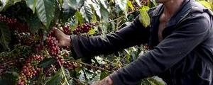 Kaffee mit leichtem Plus nach Ausverkauf