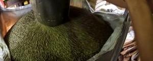 Vietnam-Exporte und starker Real helfen dem Kaffeepreis nicht