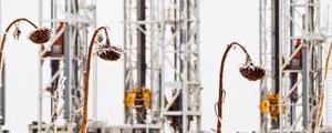 Ölpreis aktuell: US-Daten lassen Zweifel an Erholung aufkommen