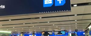 Breaking: Airline Stocks Routed Again as IATA Sounds Dire Warning