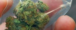 Le Mexique pourrait légaliser le Cannabis à la fin du mois, comment en profiter?