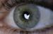 Twitter Jumps on Reports of Paid Subscription Platform