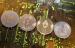 Crypto’s gemengd; Frankrijk wil ban op privacy coins